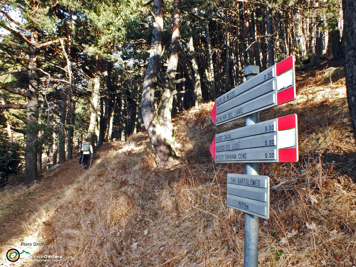 07 Prendiamo il sentiero per l'Alpe di mezzo e Sasso Canale.JPG